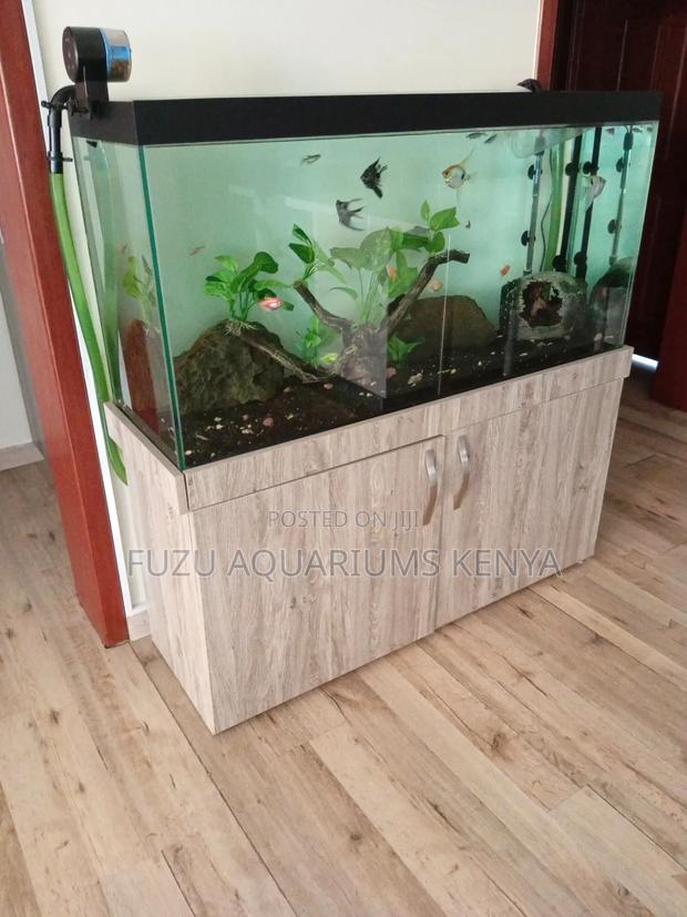 Aquarium With Cabinet and Unique Fish - thumbnail 3