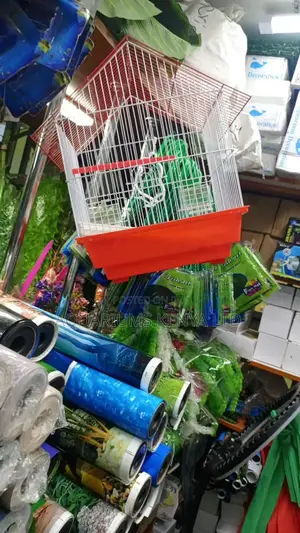 Red,Blue,Orange,White Cages,Cages for Small Birds