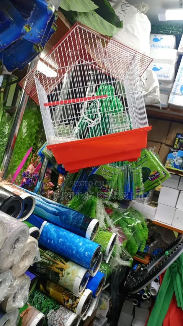 Red,Blue,Orange,White Cages,Cages for Small Birds - main view