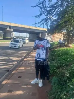 Experienced Male Sofa Cleaner