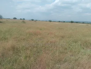 4000 Acres Lukenya Stoni Athi Selling at 7.5m.Per Acre