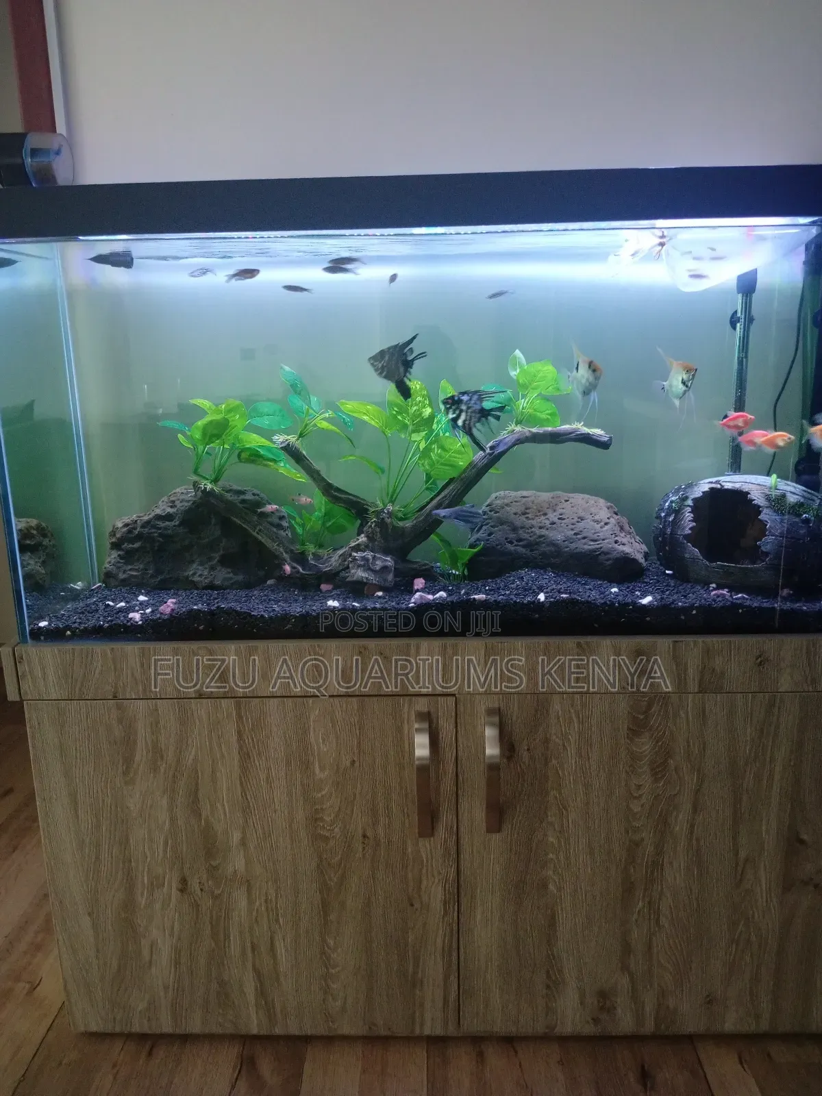 Aquarium Fish Tank - Unique