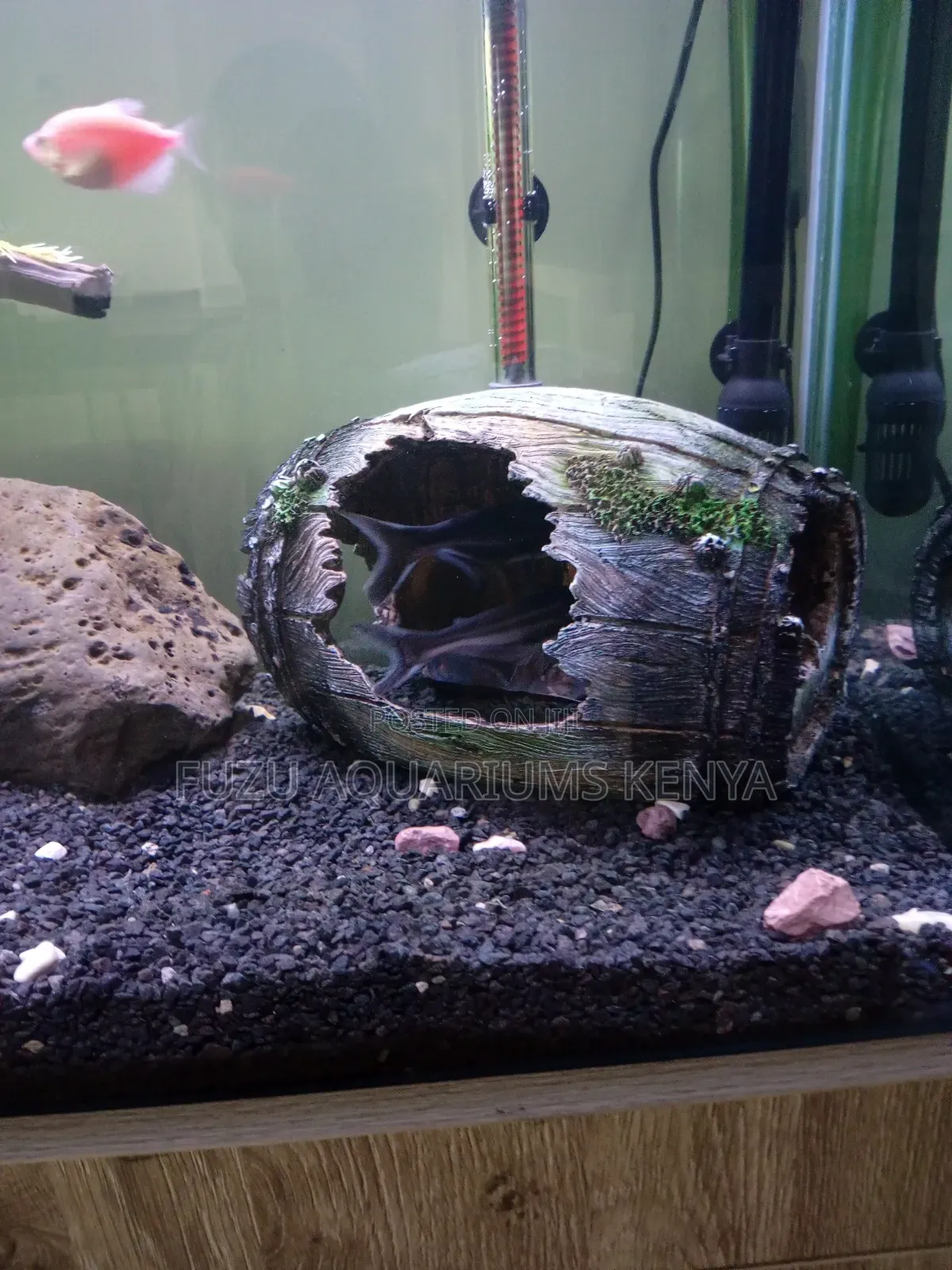 Big Aquarium Barrel