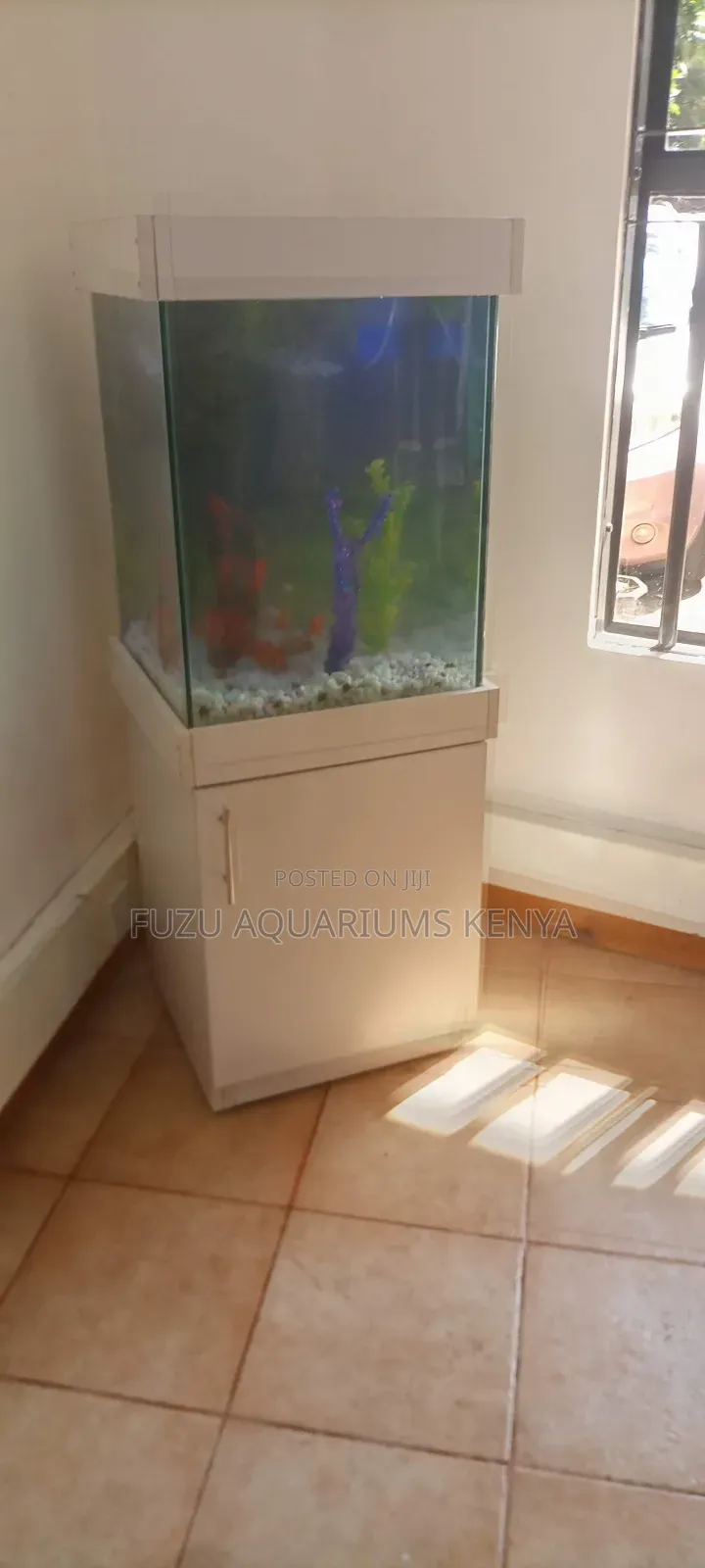 Aquarium Cubic Design