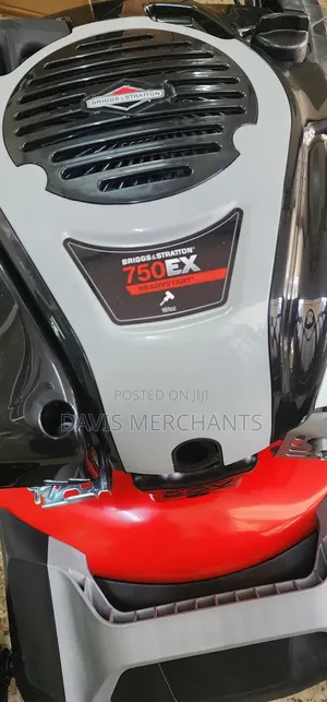 Briggs and Stratton 5hp 163cc Self Driven Machine