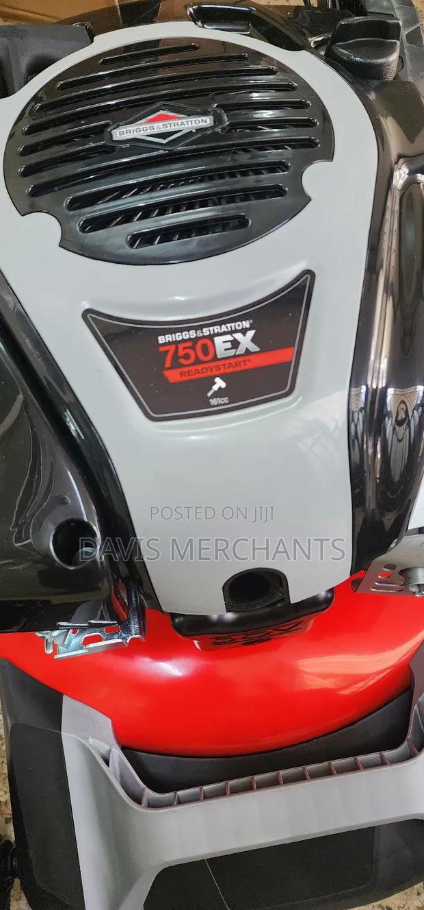 Briggs and Stratton 5hp 163cc Self Driven Machine - main view