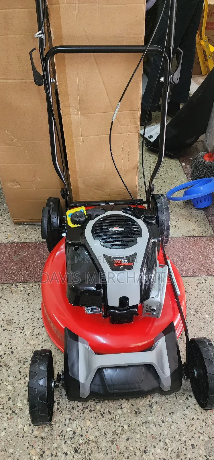 Briggs and Stratton 5hp 163cc Self Driven Machine