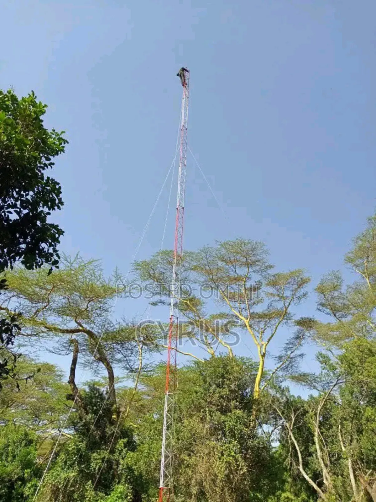 Guy Mast Construction