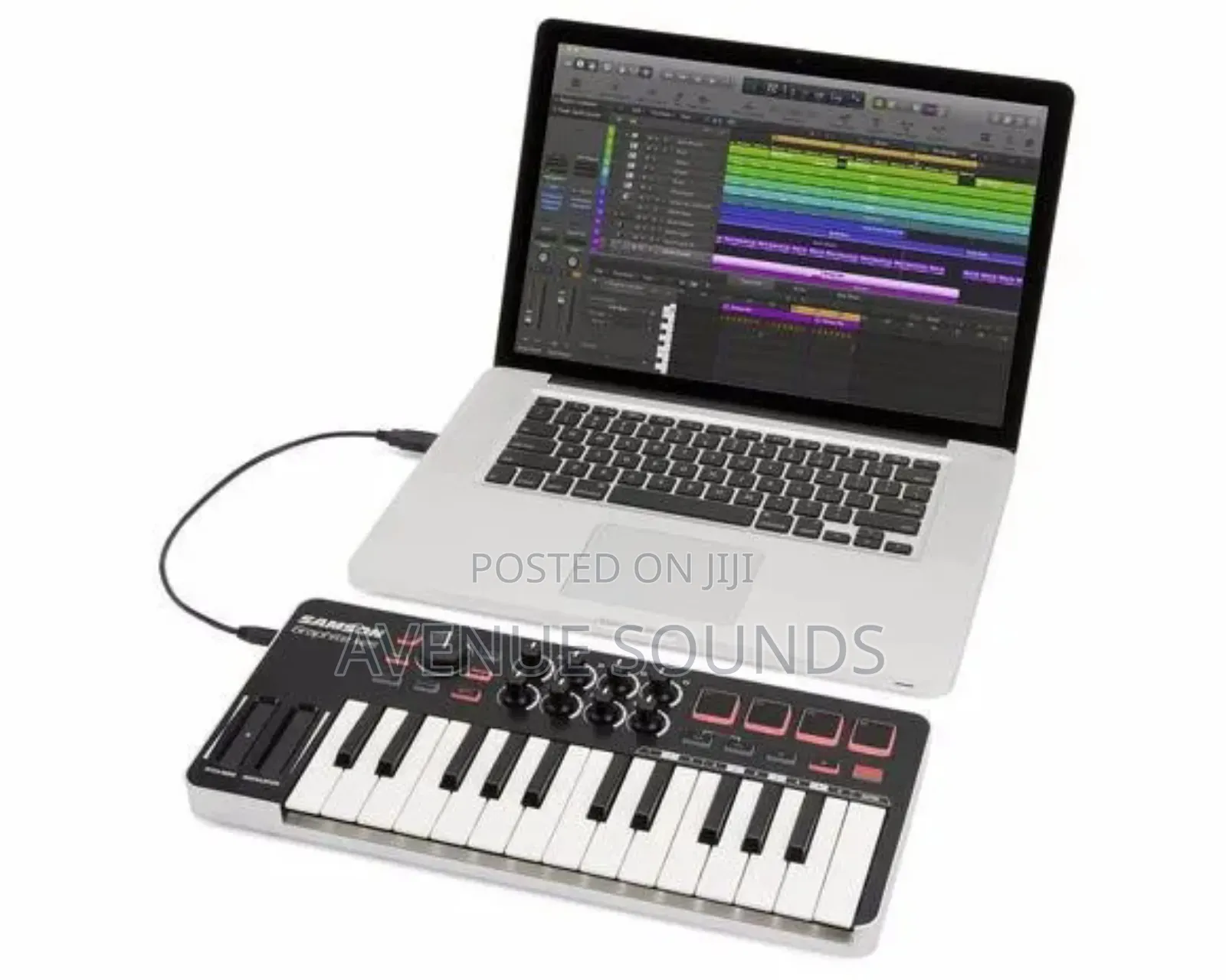 Samson M25 Semi Weighted Portable Mini Midi Keyboard