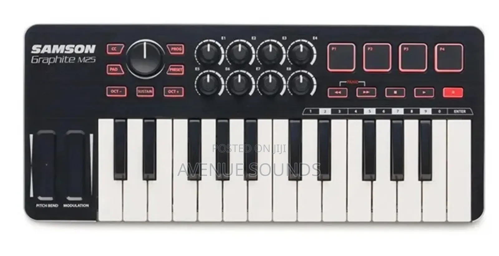 Samson M25 Semi Weighted Portable Mini Midi Keyboard