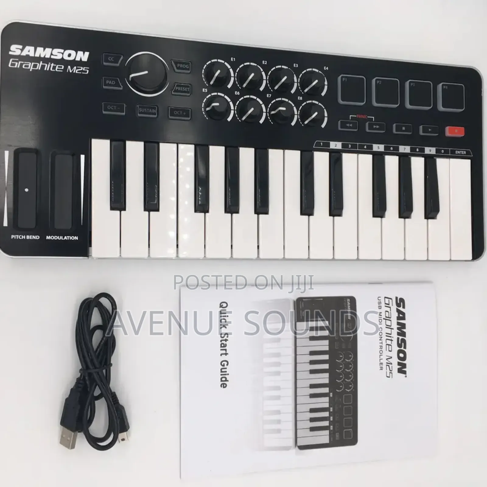 Samson M25 Semi Weighted Portable Mini Midi Keyboard