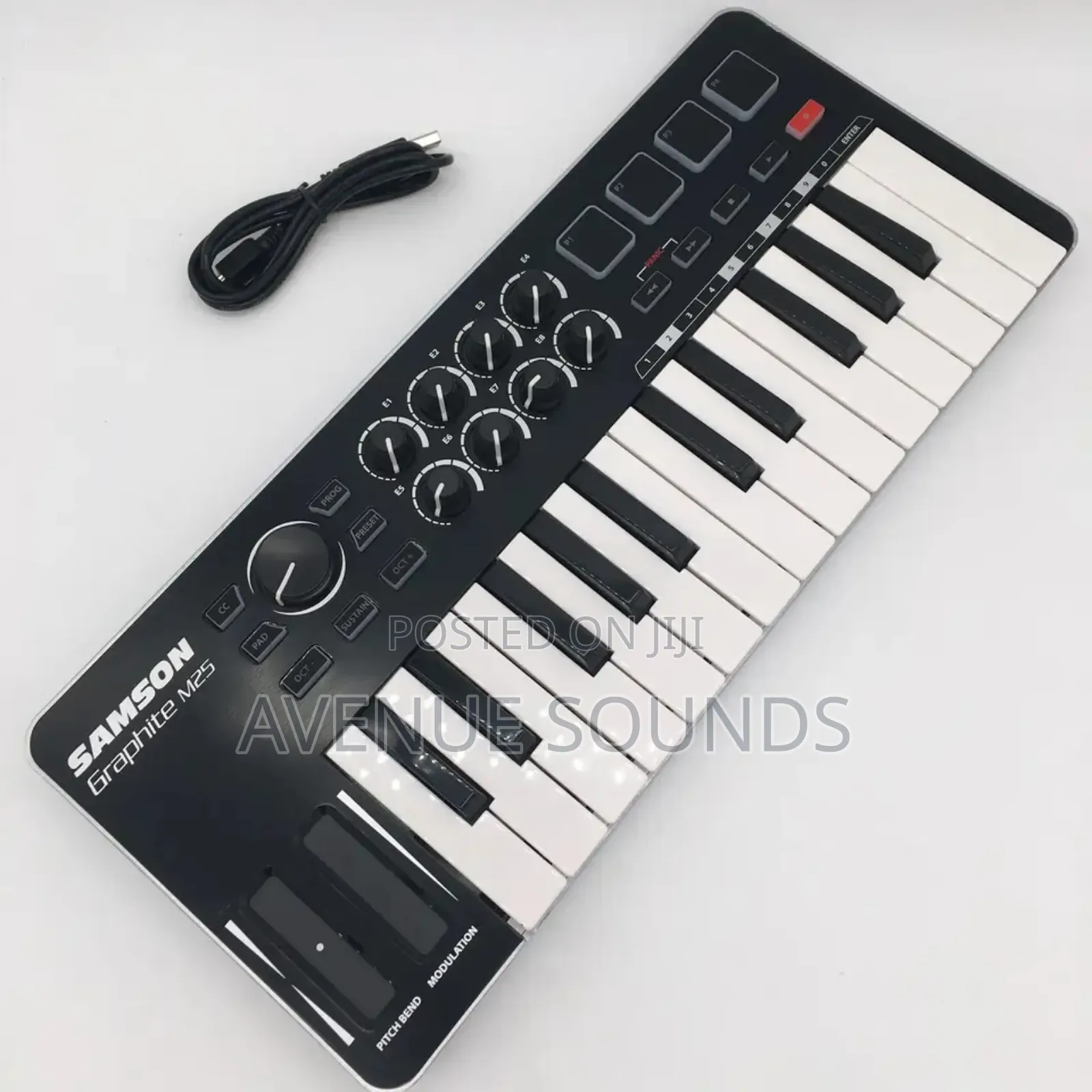 Samson M25 Semi Weighted Portable Mini Midi Keyboard