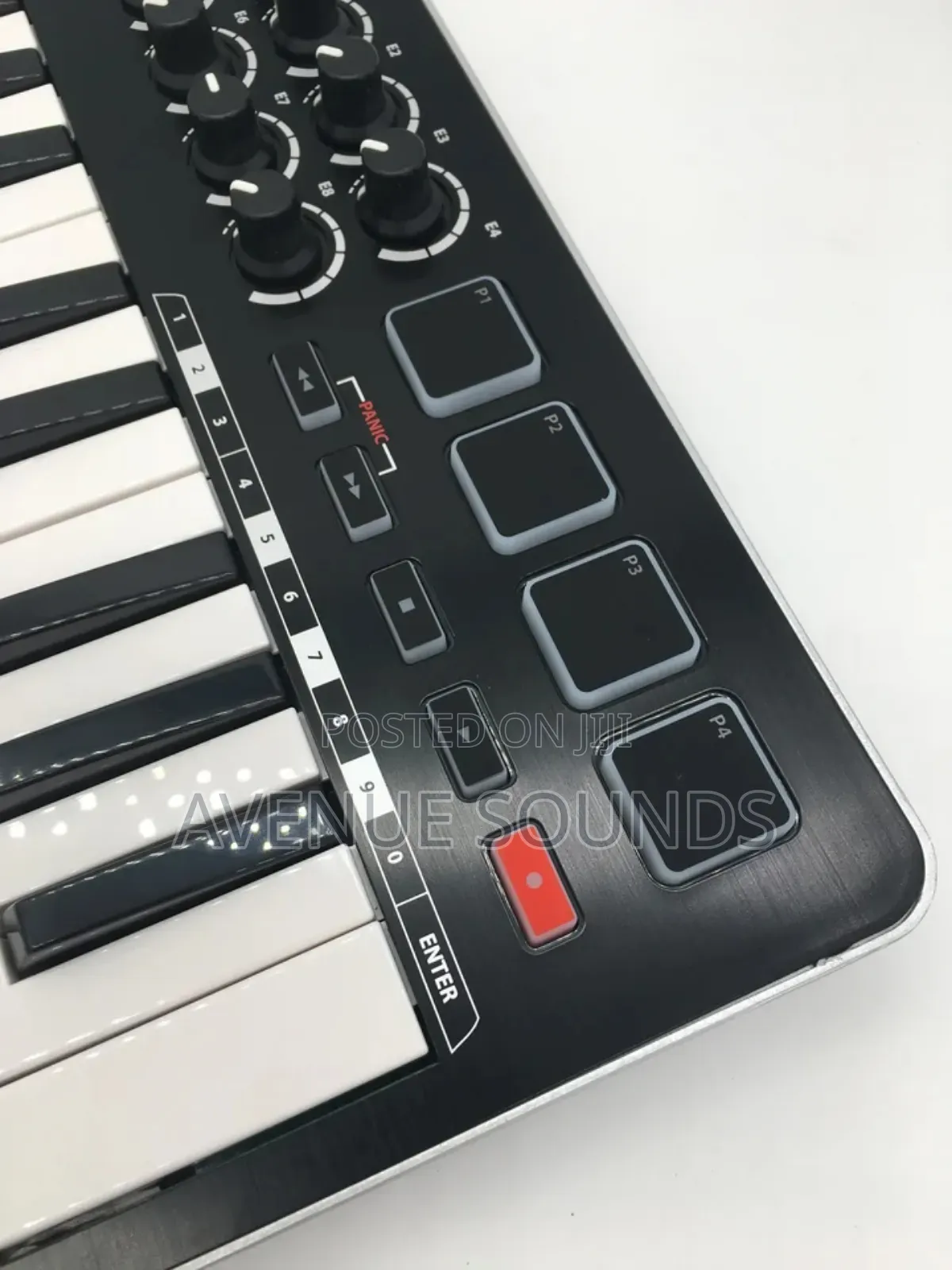 Samson M25 Semi Weighted Portable Mini Midi Keyboard