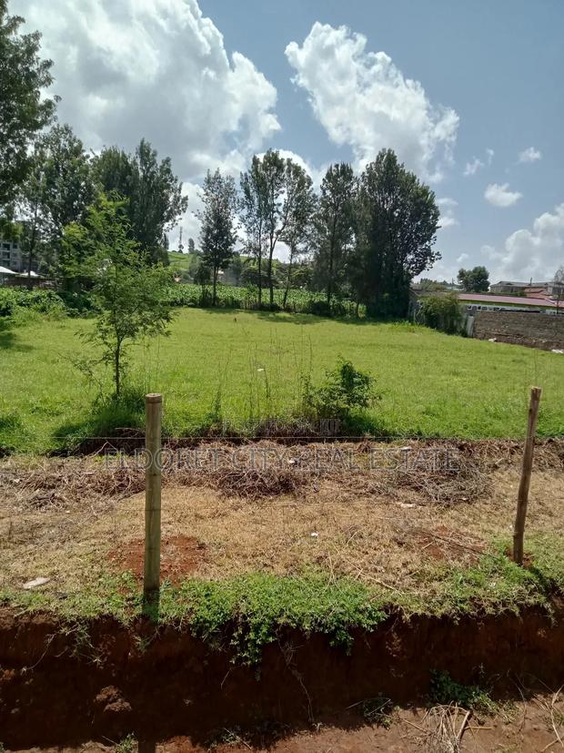 3/4 Plot Kapsoya Boarder Farm - thumbnail 2