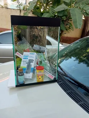 Lovely Small Aquarium