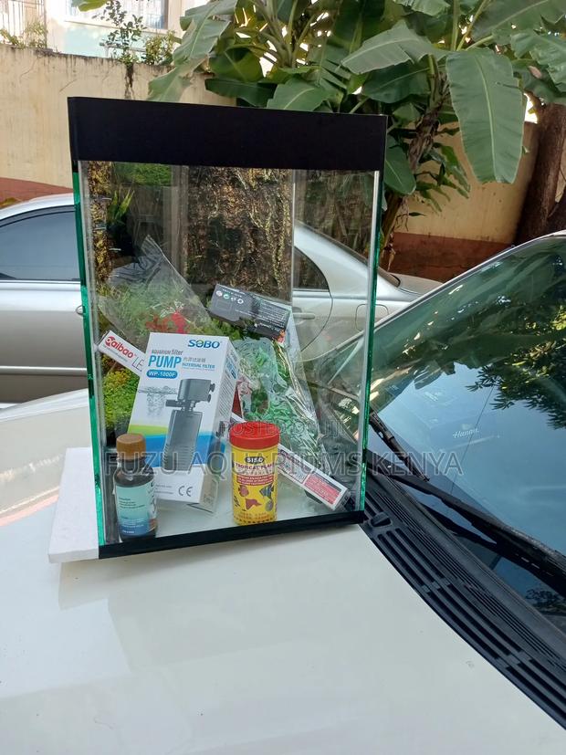Lovely Small Aquarium