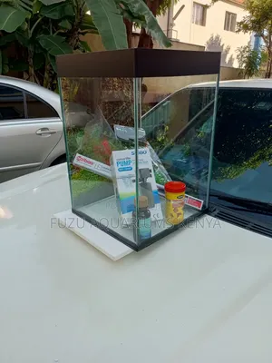 New Super Aquarium With Accessories FISH
