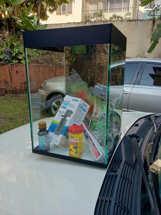 New Super Aquarium With Accessories FISH - thumbnail 3