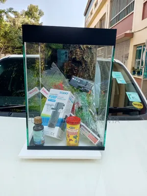 New Super Aquarium With Accessories FISH