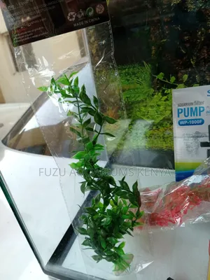 Unique Aquarium Plants All Colors