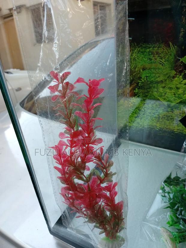 Unique Aquarium Plants All Colors - thumbnail 2