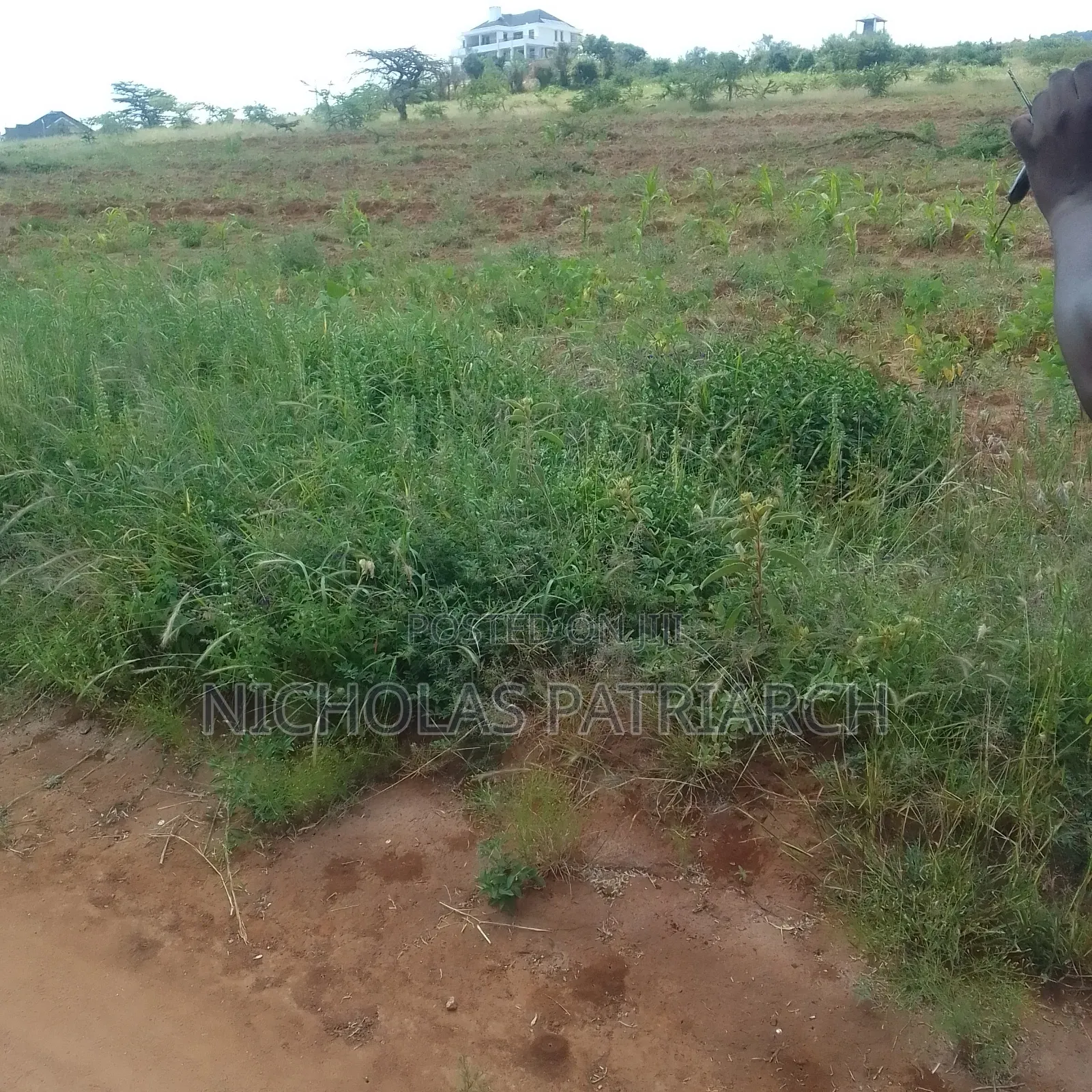 5 Acres Mua Hills Acre