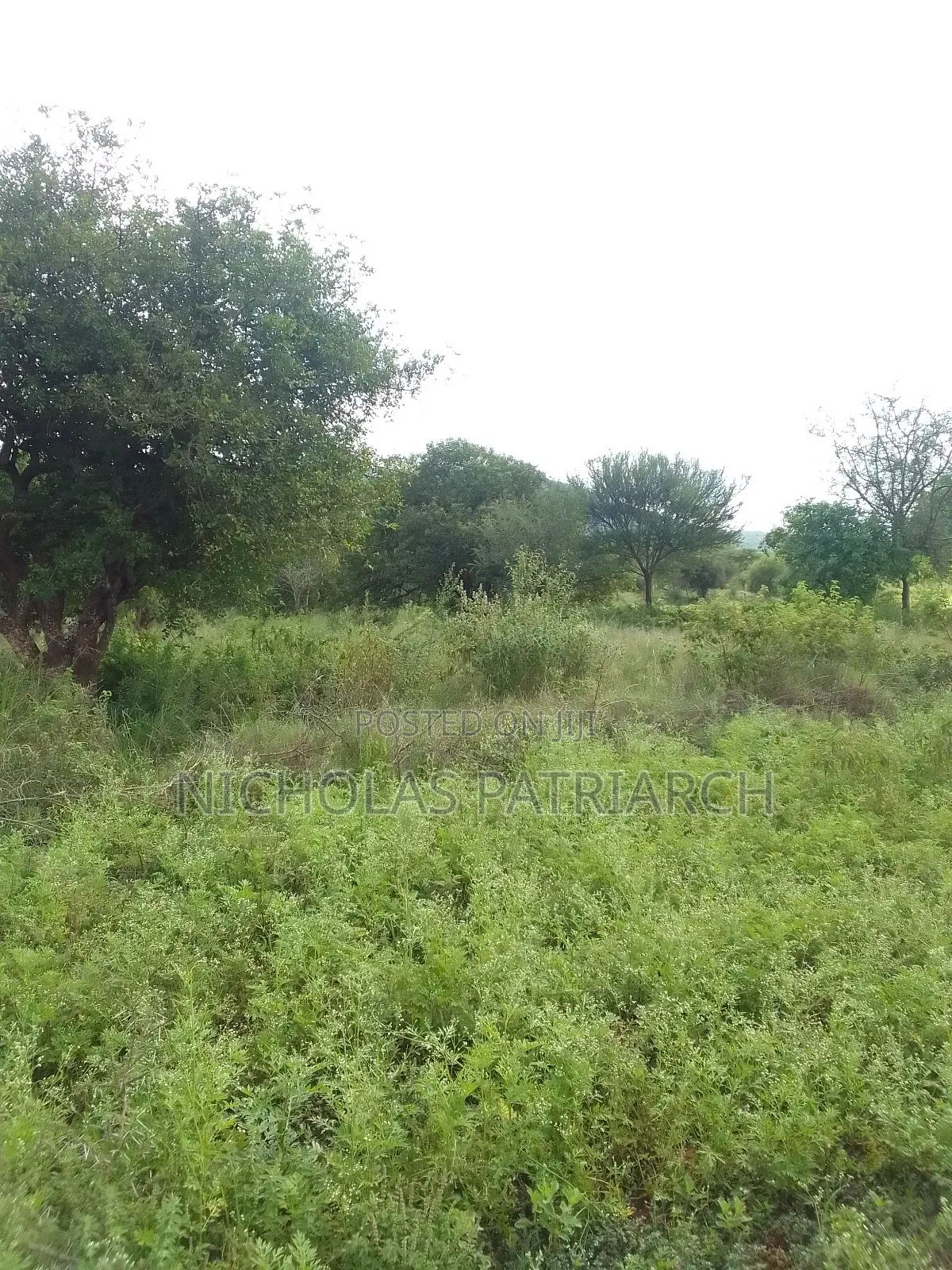 200 Acres Kitui Mutha at Per Acre