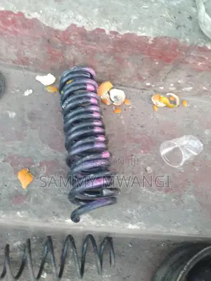 Toyota Filder Nze Rear Coil Springs and Front 