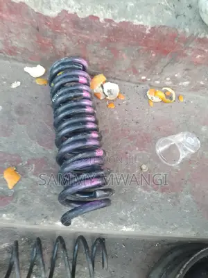 Toyota Filder Nze Rear Coil Springs and Front 
