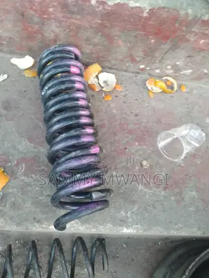 Nissan Serena and Note Murano Rear Coil Springs Ziko Poa