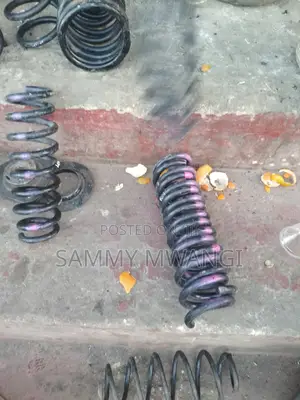 Nissan Serena and Note Murano Rear Coil Springs Ziko Poa