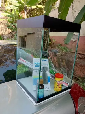 Kids Aquarium - Small Classy