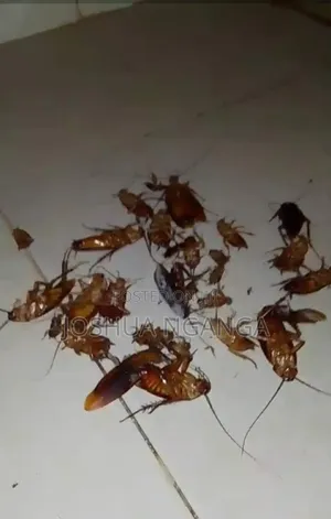 Pest Control and Fumigation