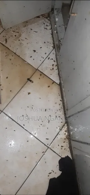 Pest Control and Fumigation