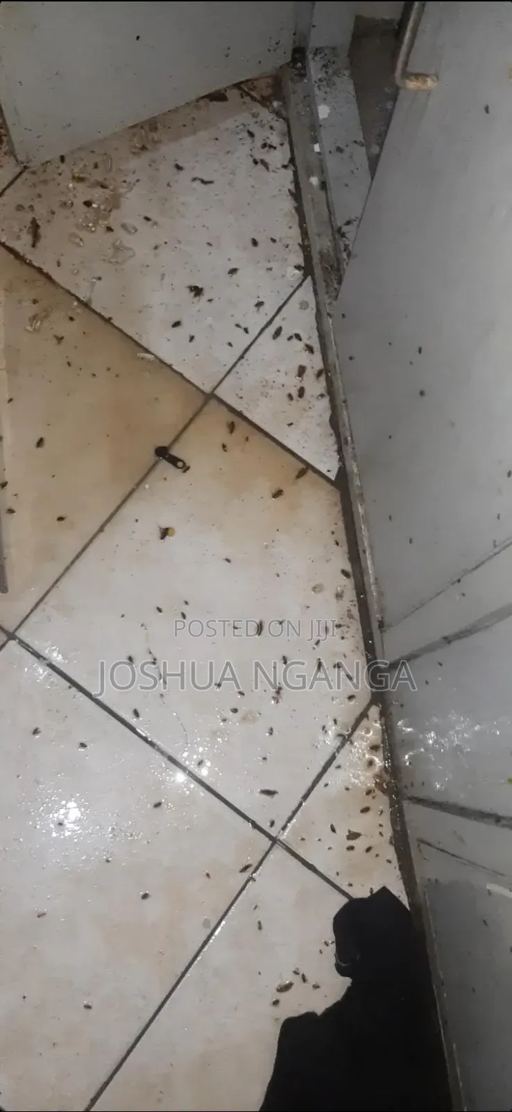 Pest Control and Fumigation