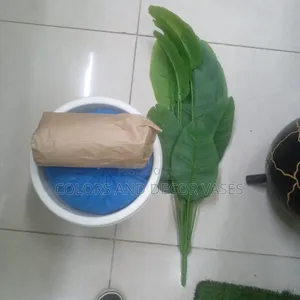 Banana Plant, Plastic Vase and Pebble Stones