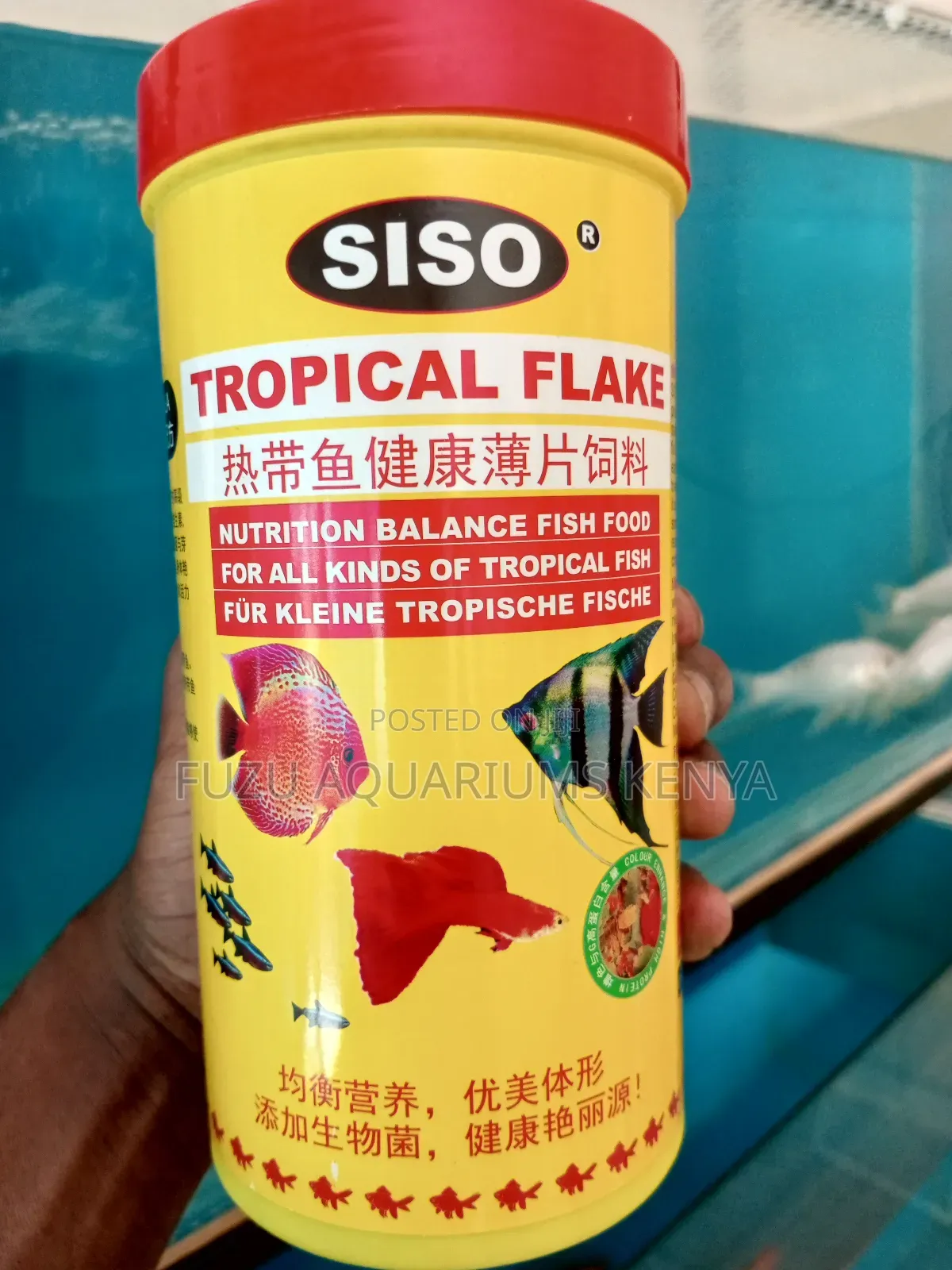 Siso Tropical Flakes ( 1000ml ) Floating Type