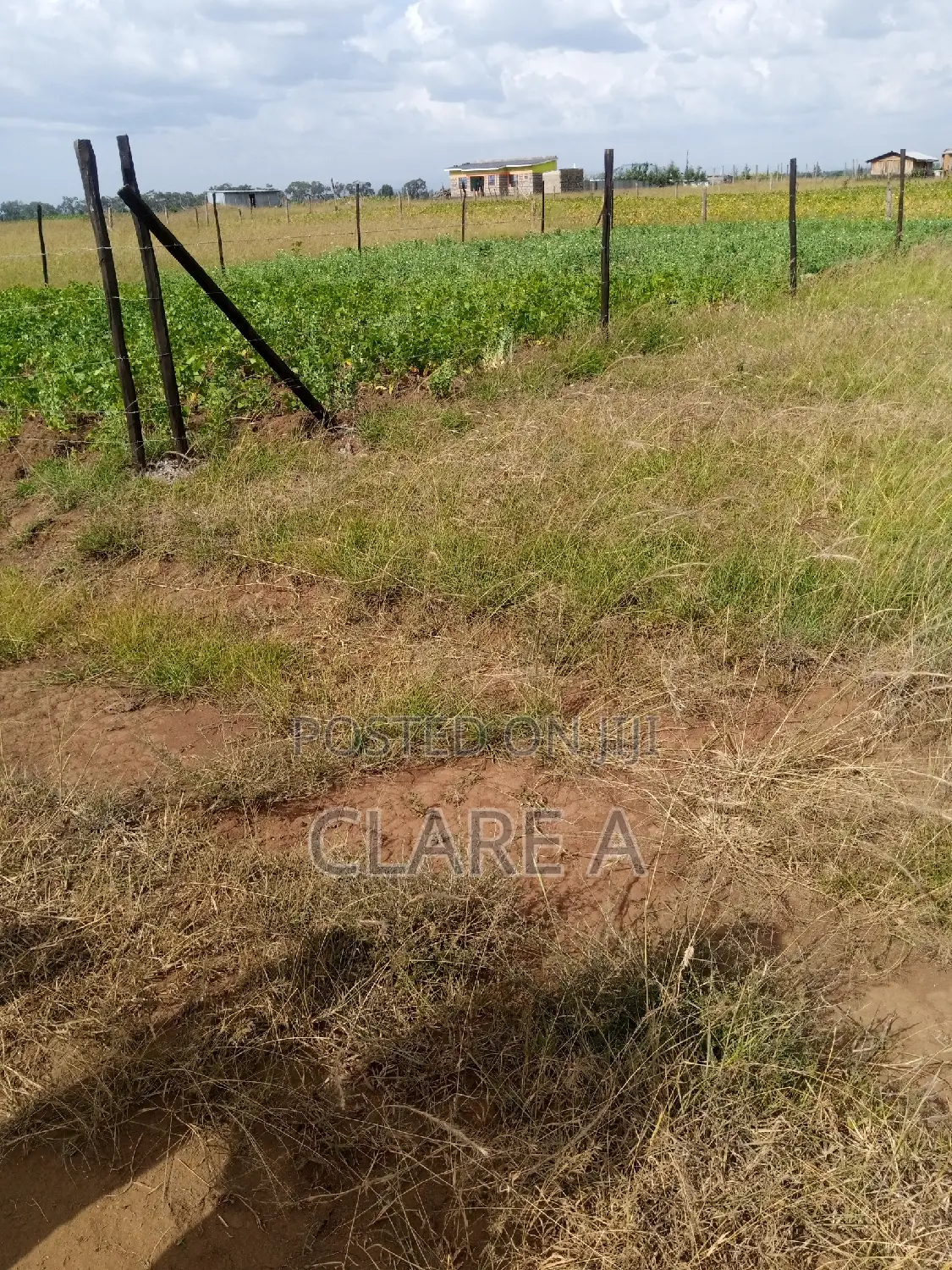 50*100 Plot Opposite Simba Cement ,Behind Ovacado Farm.