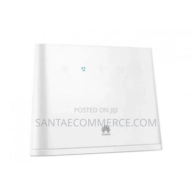 Huawei TD -LTE Router - main view