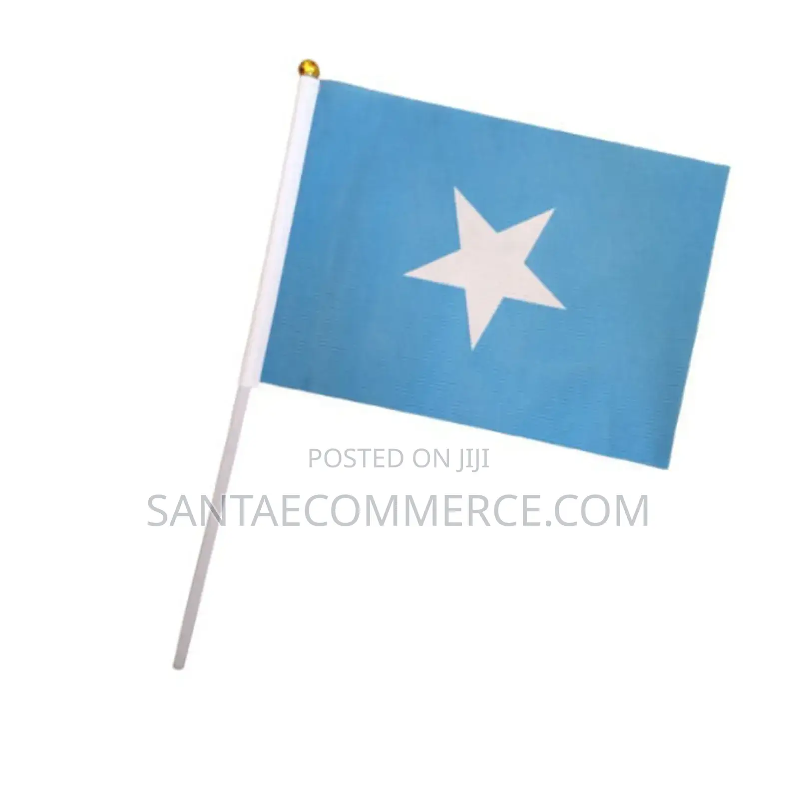 Somalia Mini Flag