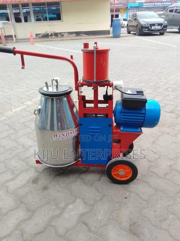 Electric Motor for Milking Machine - thumbnail 3