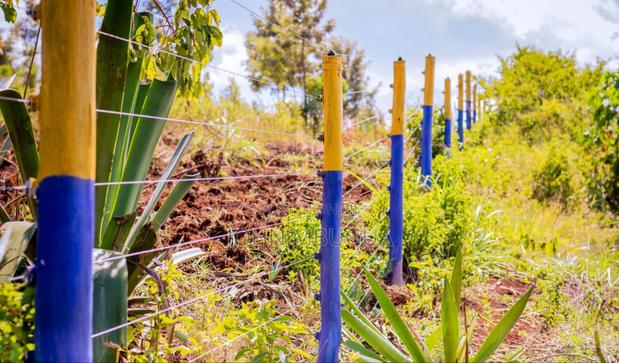 Prime Plots for Sale in Kenol Town - thumbnail 5
