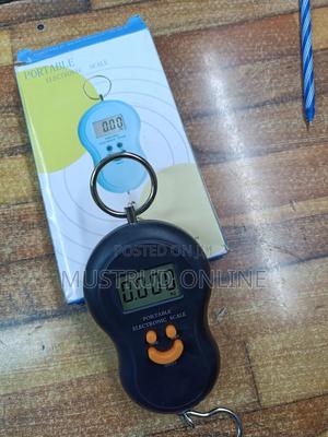 Portable Hanging Scale - main view