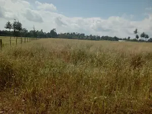 Naivasha Plot Sale