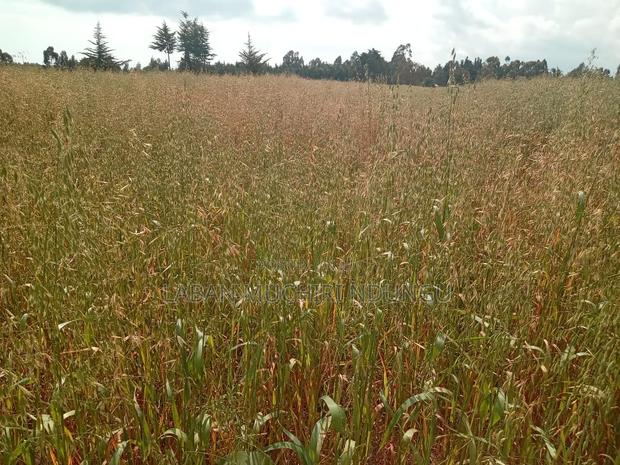 Land for Sale - main view