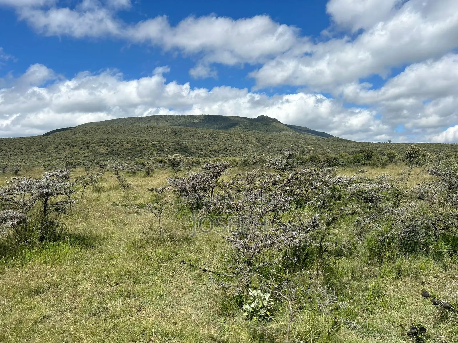 Naivasha 1acre Plots