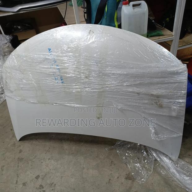 Allion260 Bonnet. 2012