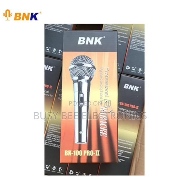Bk 100 Pro 11 Karaoke Microphone - main view