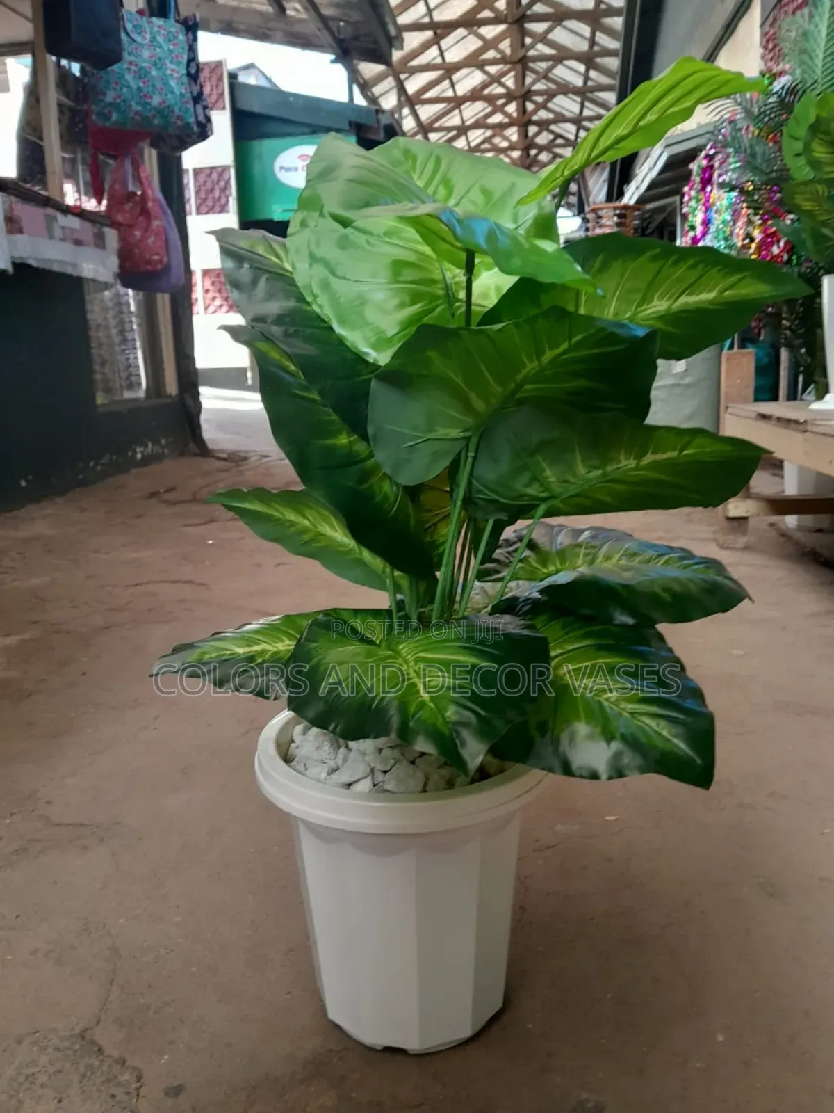 Green Plant, Vase Plastic and Stones