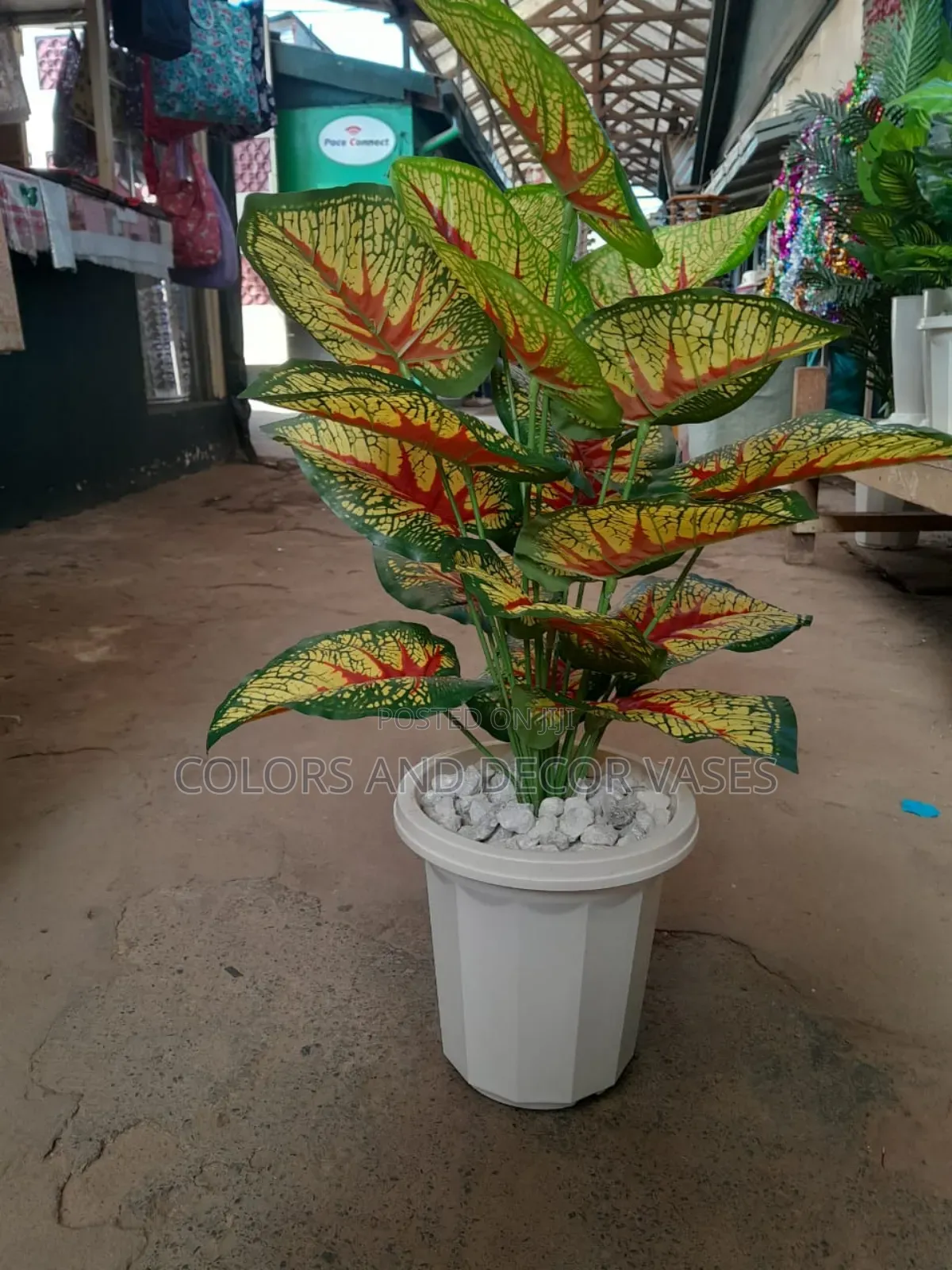 Coloured Plant, Plastic Vase/ Pebble Stones